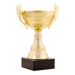 copa cerdeira