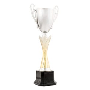 copa chousa