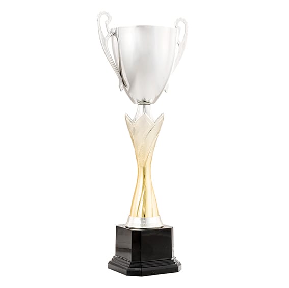 copa chousa