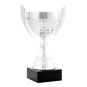 copa braÑa