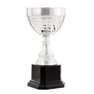 copa agro (copia)