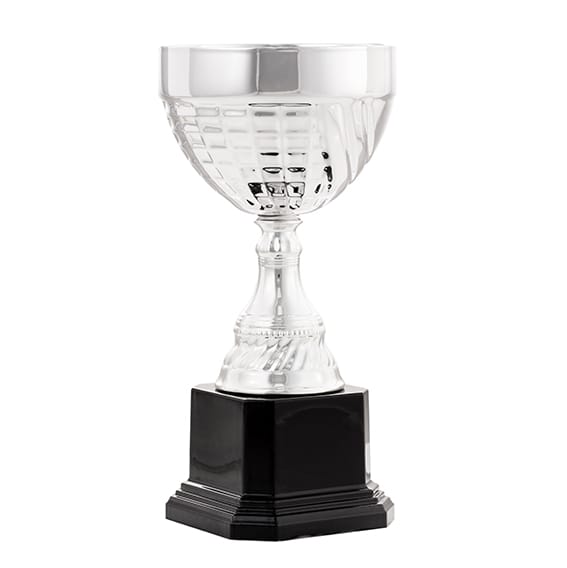 copa agro (copia)