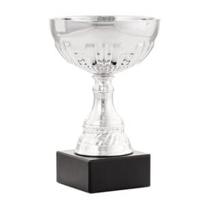 copa carballeira