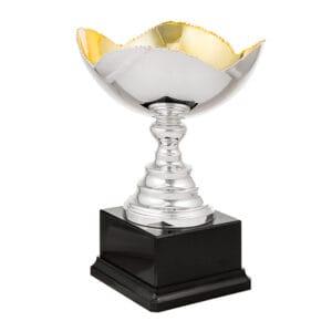 copa toxo