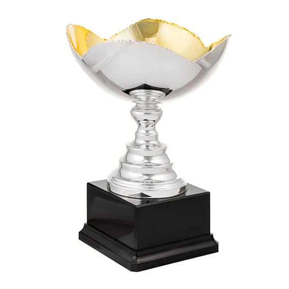 copa toxo