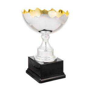 copa toxo (copia)