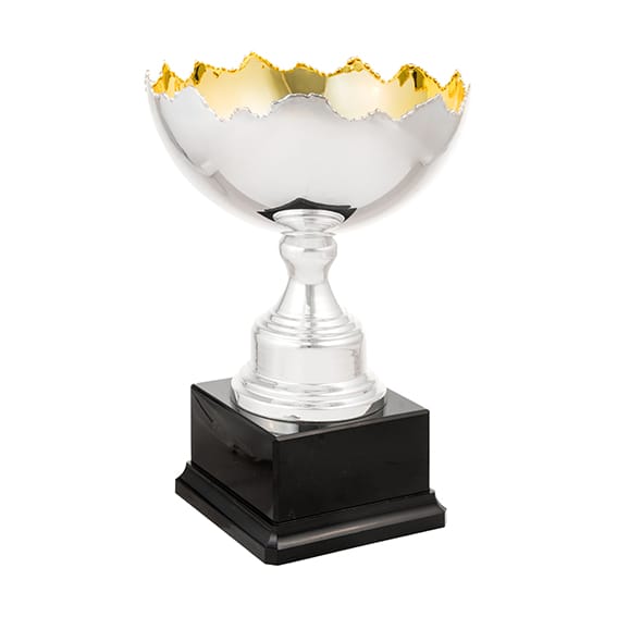 copa toxo (copia)