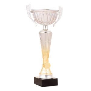 copa xestoso