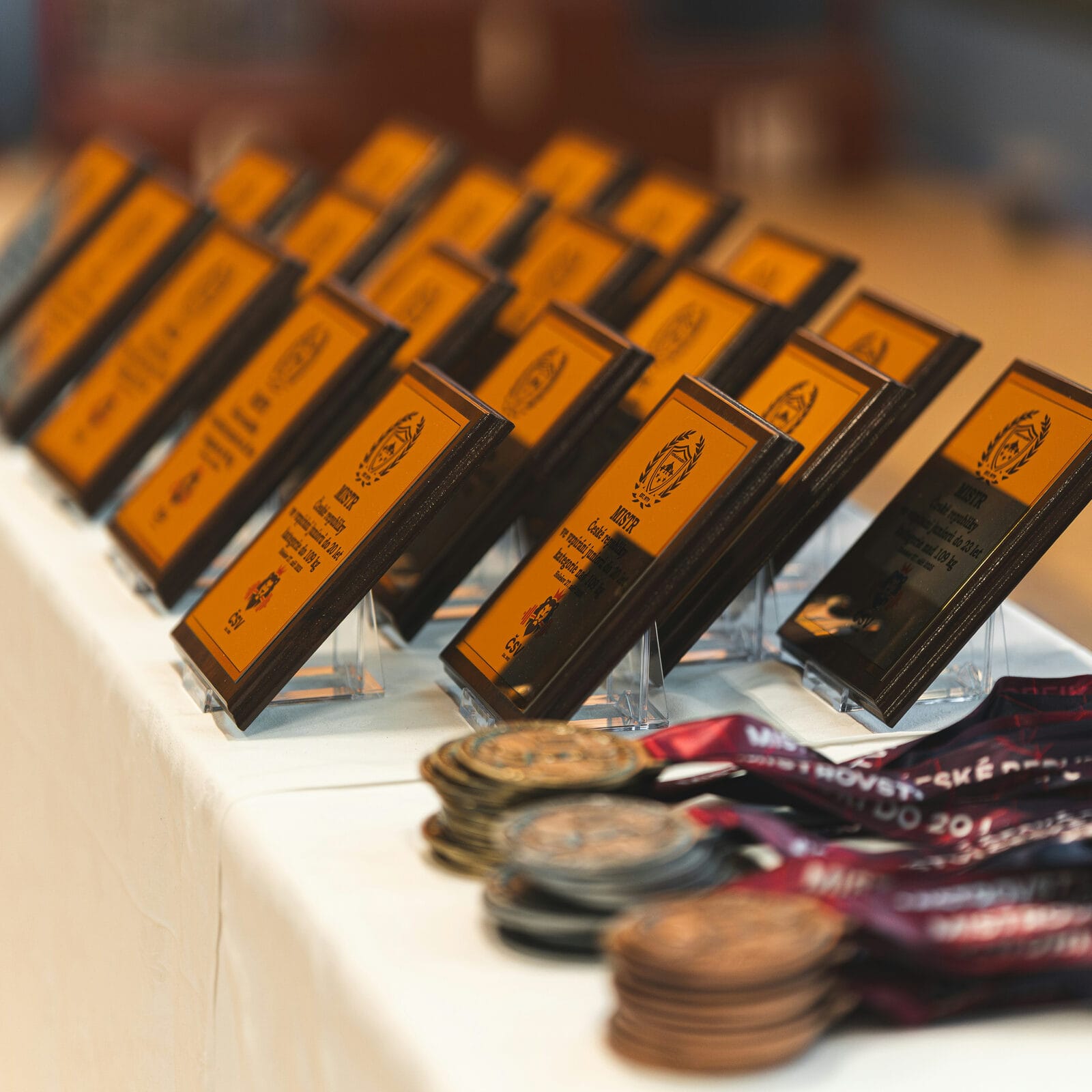 Placas conmemorativas de madera grabadas y medallas para entrega de premios